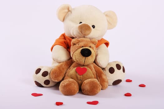 2 Teddy Bears Landscape