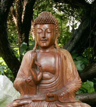 Buddha