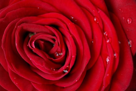 Blood red