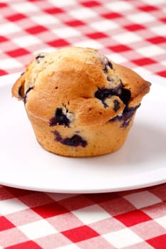 Blueberry muffin