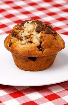 Close-up of chocolate chips muffin