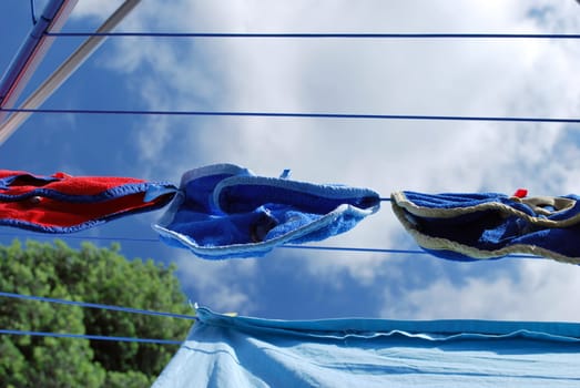 Clothesline 3121