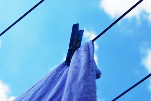 Clothesline 3119