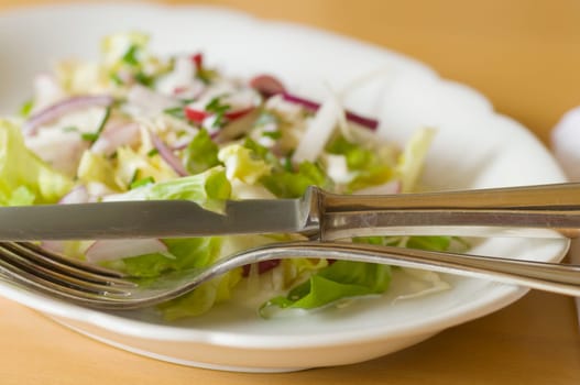 Salad plate