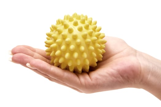 Hedgehog ball