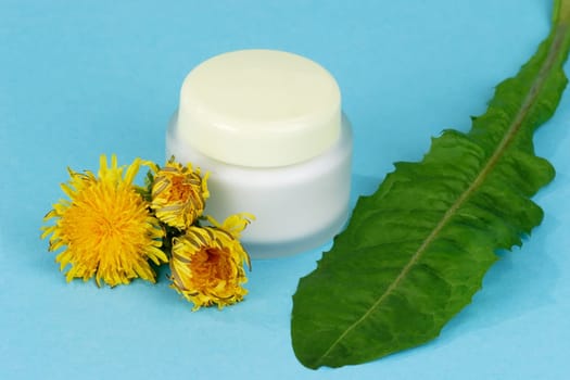 Body Care