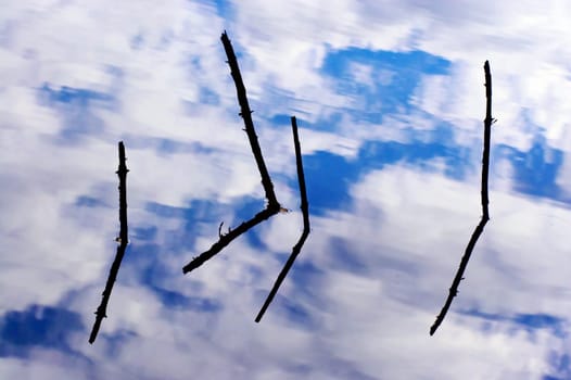 Cloud reflection in the water