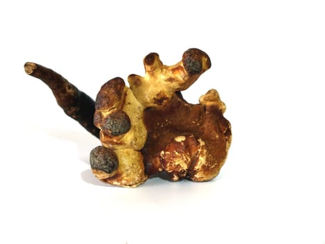 Reishi,Lingzhi,Miracle Mushroom