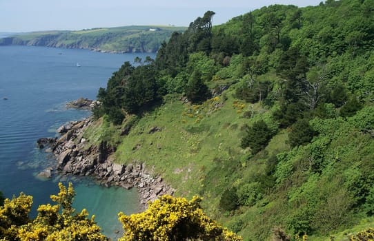 View over NewfoundlandCove to Blackstone Point south of Kingswear from the SouthWestCoastPath in South Devon,UK