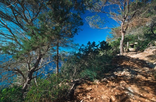 Cala Pujada 2