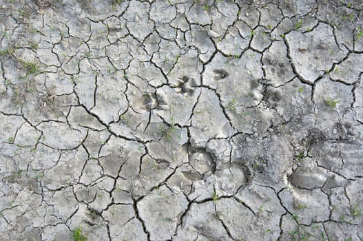 parched earth