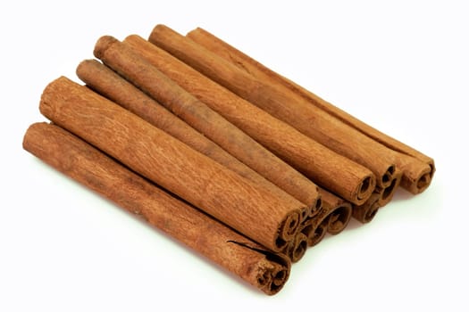 Cinnamomum