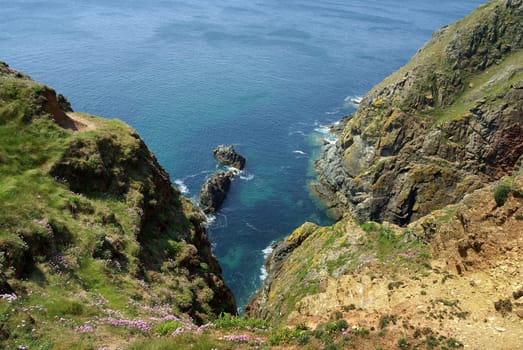 Flowering slopes on the rocky coast at Bolt Tail west of Salcombe,Devon,UK