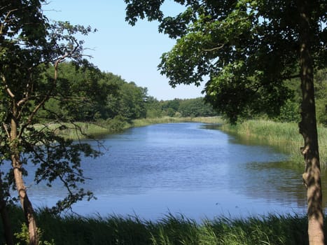 Pure nature