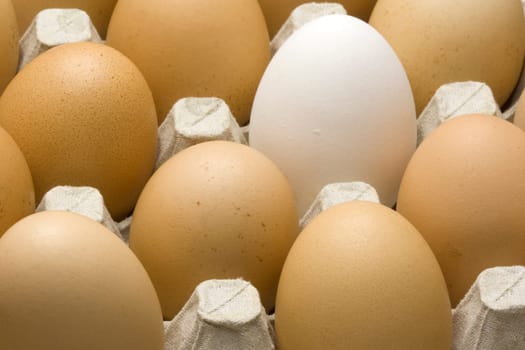 Eggs