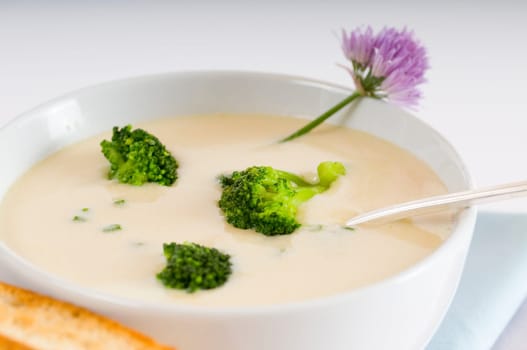 Cream of broccoli soup