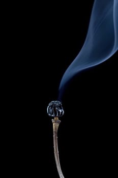 burn out poppyhead