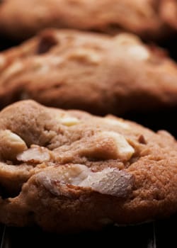 Cookie Biscuits With White Chocolate And