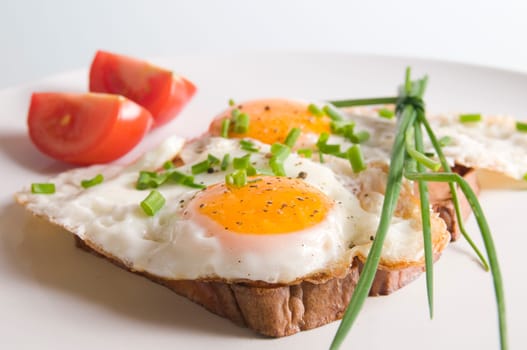 Meatloaf with fried egg