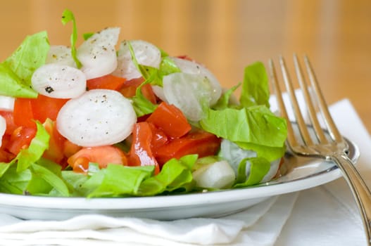 fresh green salad with tomatoes