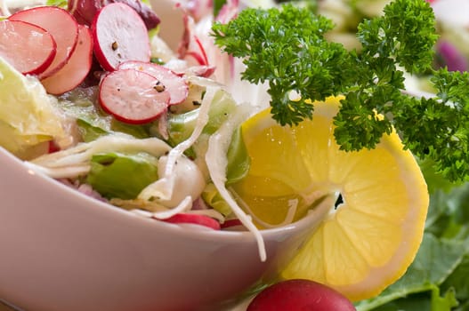 fresh salad