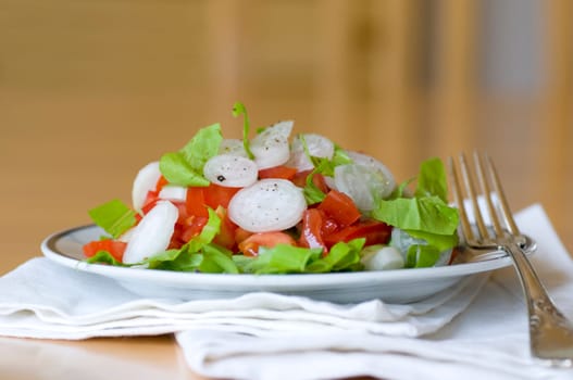 Fresh salad with radish