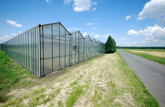 Greenhouse