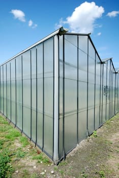 Greenhouse