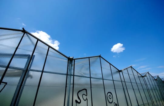 Greenhouse
