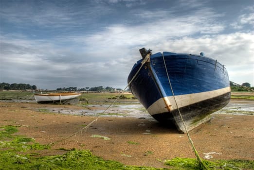 Low tide