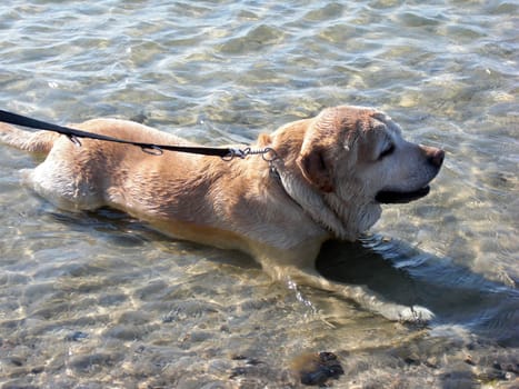 Short cooling down