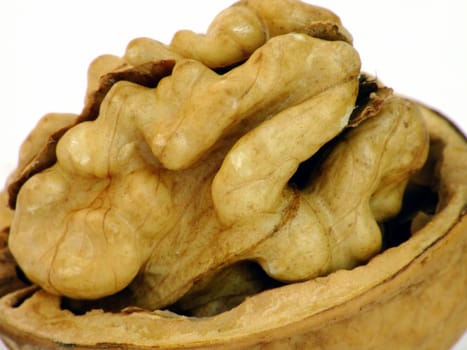 open walnut