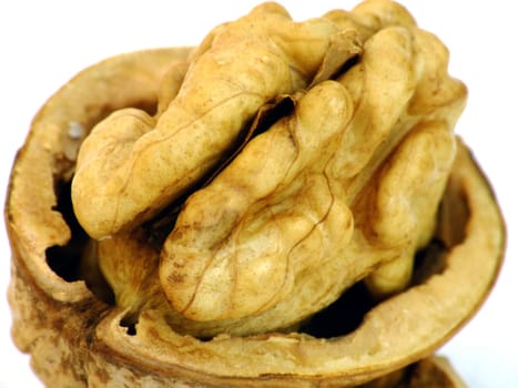 open walnut