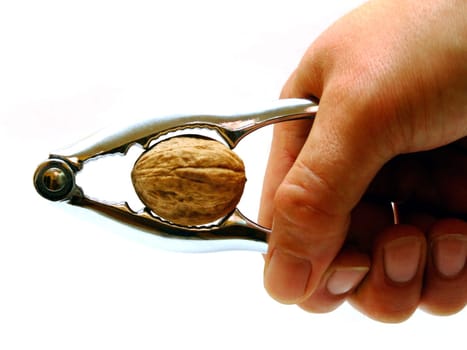 Open Walnut