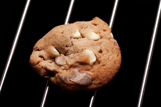 Cookie Biscuit With White Chocolate And