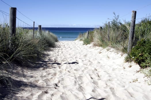 Sandy Path to the Beach, Sydney