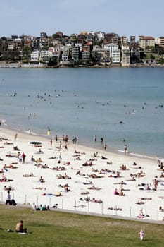 Bondi Beach