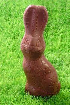 Chocolate Easter Bunny