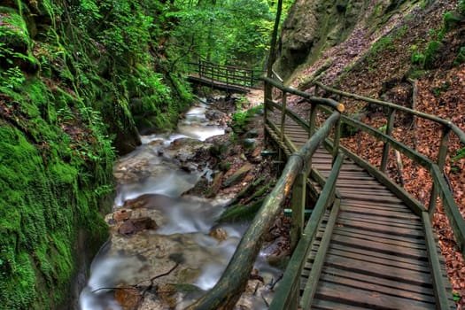 Rastenbach Gorge VIII