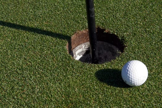 Golf Ball On The Green