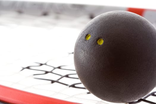 Racket squash