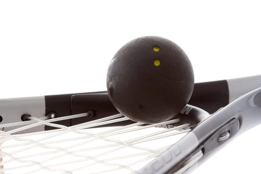 Racket squash