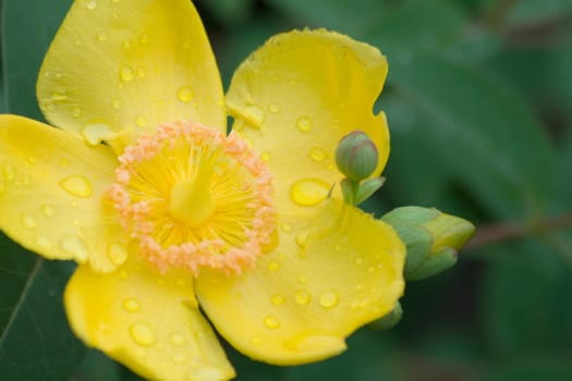 After the rain...