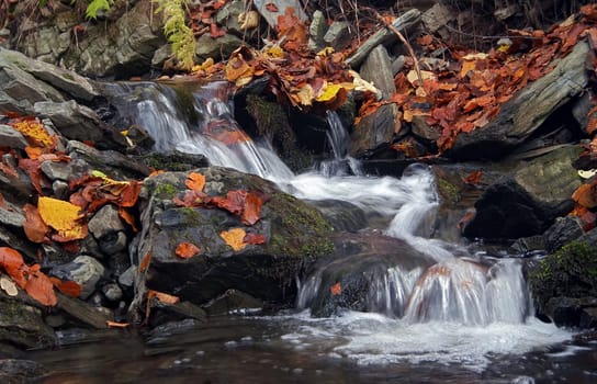 cascade - autumn creek