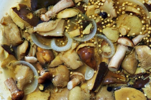 pickled mushrooms