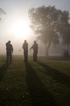 Morning Golfers