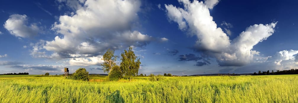 Nature 1