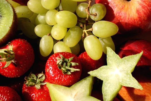 Fruit