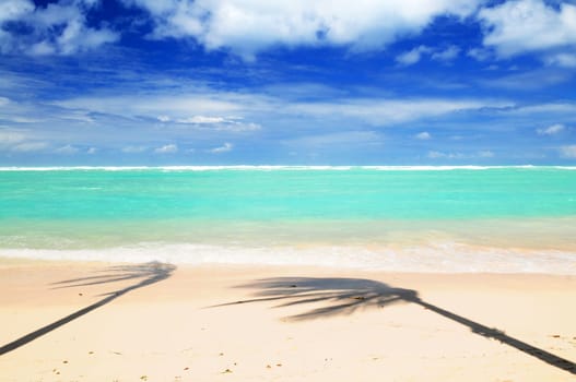 Tropical beach