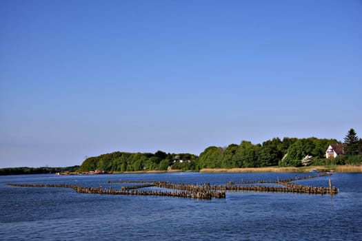 Herring fences